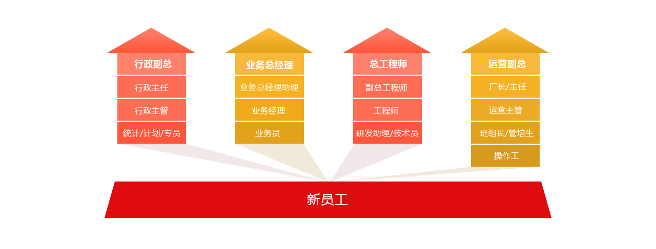 蓝月亮精选料大全